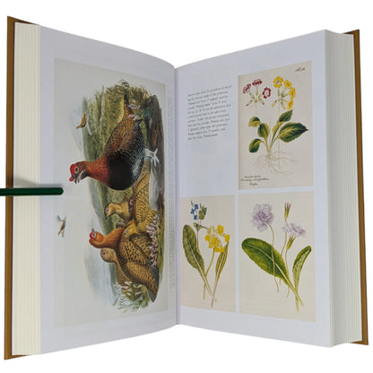 On the Origin of Species by Means of Natural Selection