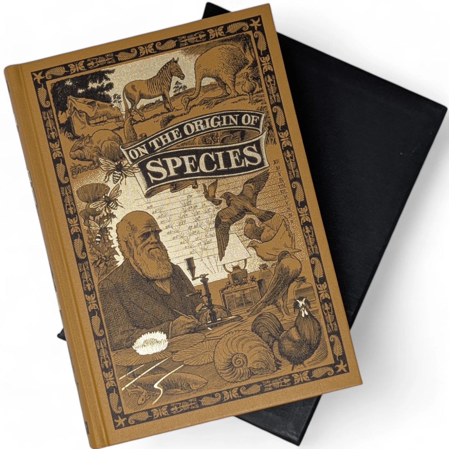 On the Origin of Species by Means of Natural Selection