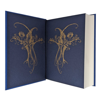 The Blue Fairy Book