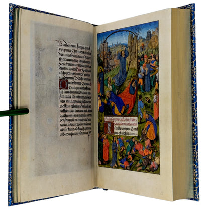 The Fitzwilliam Book of Hours