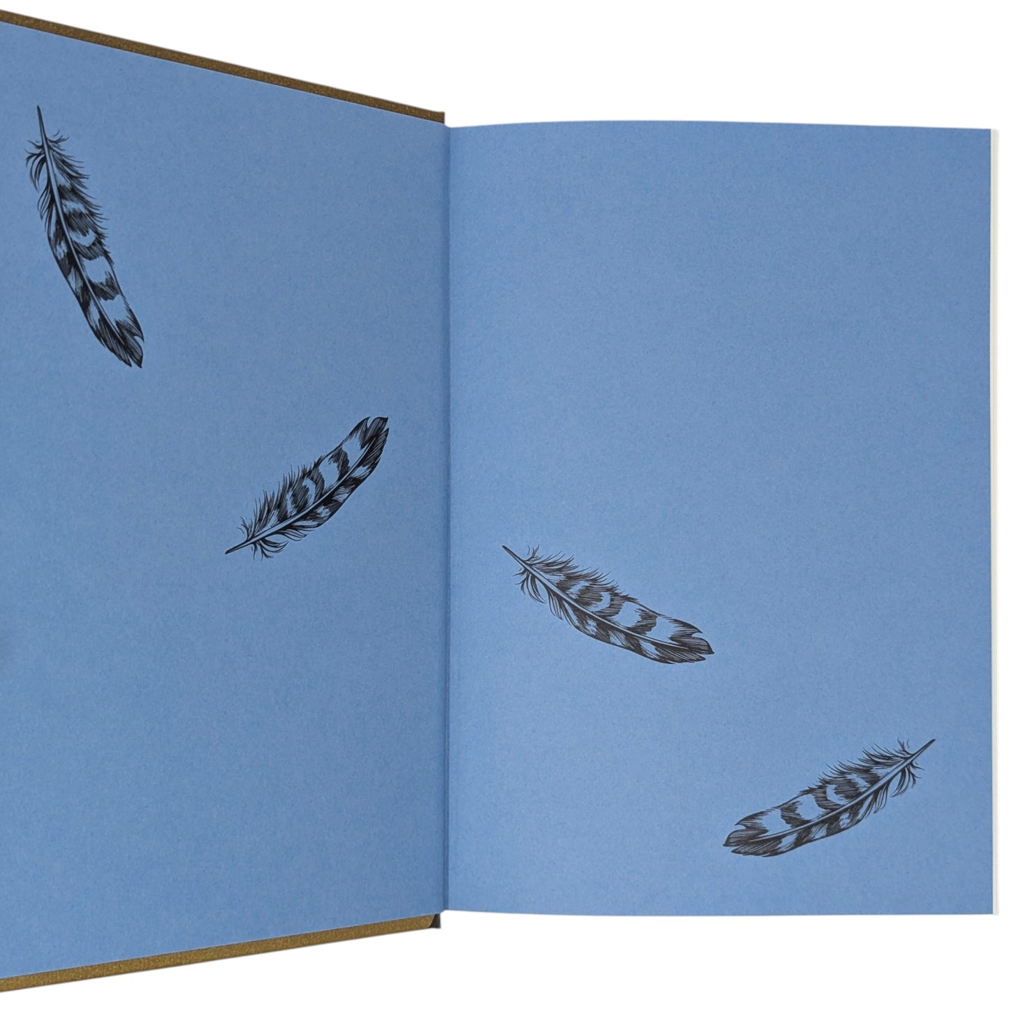 H is for Hawk (Signed)