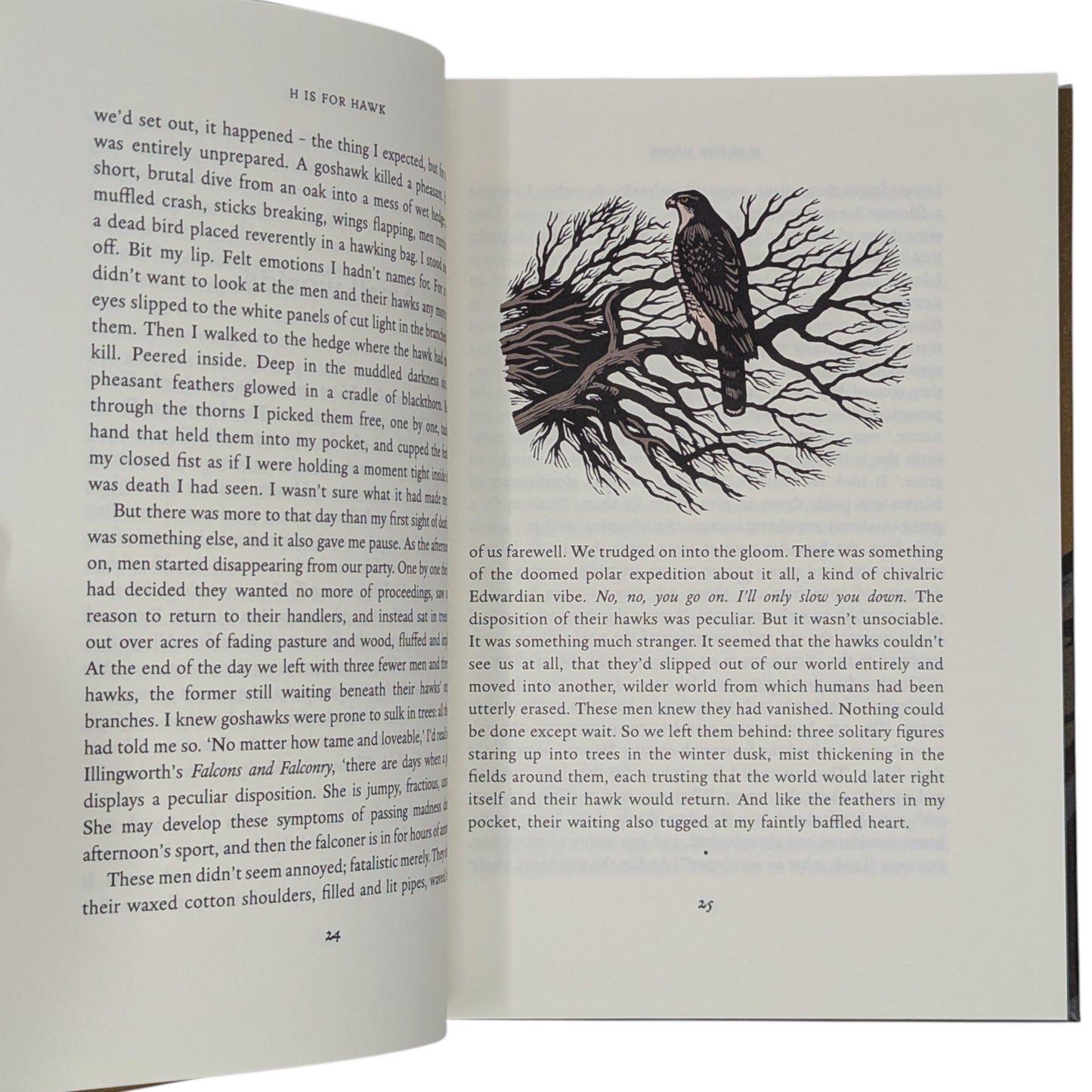 H is for Hawk (Signed)