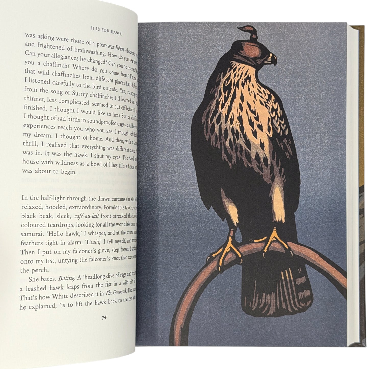 H is for Hawk (Signed)