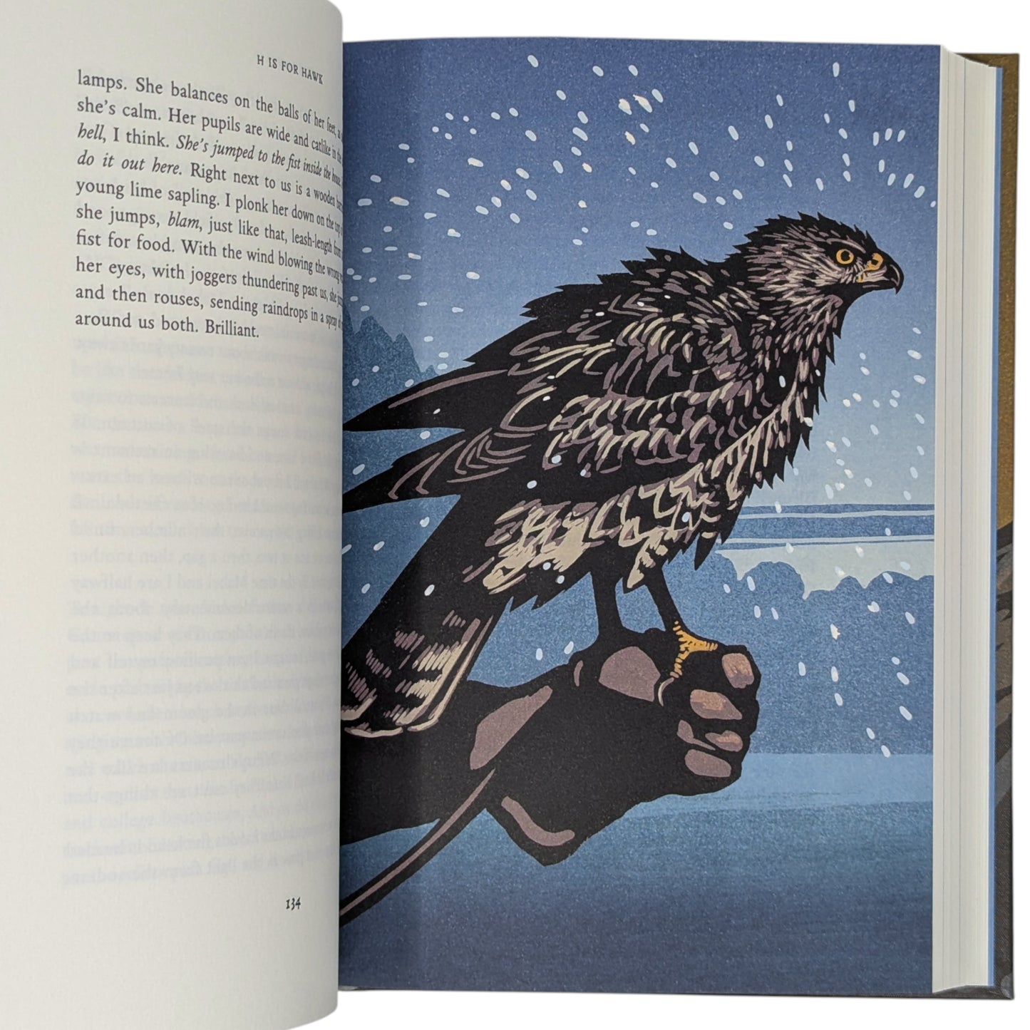 H is for Hawk (Signed)