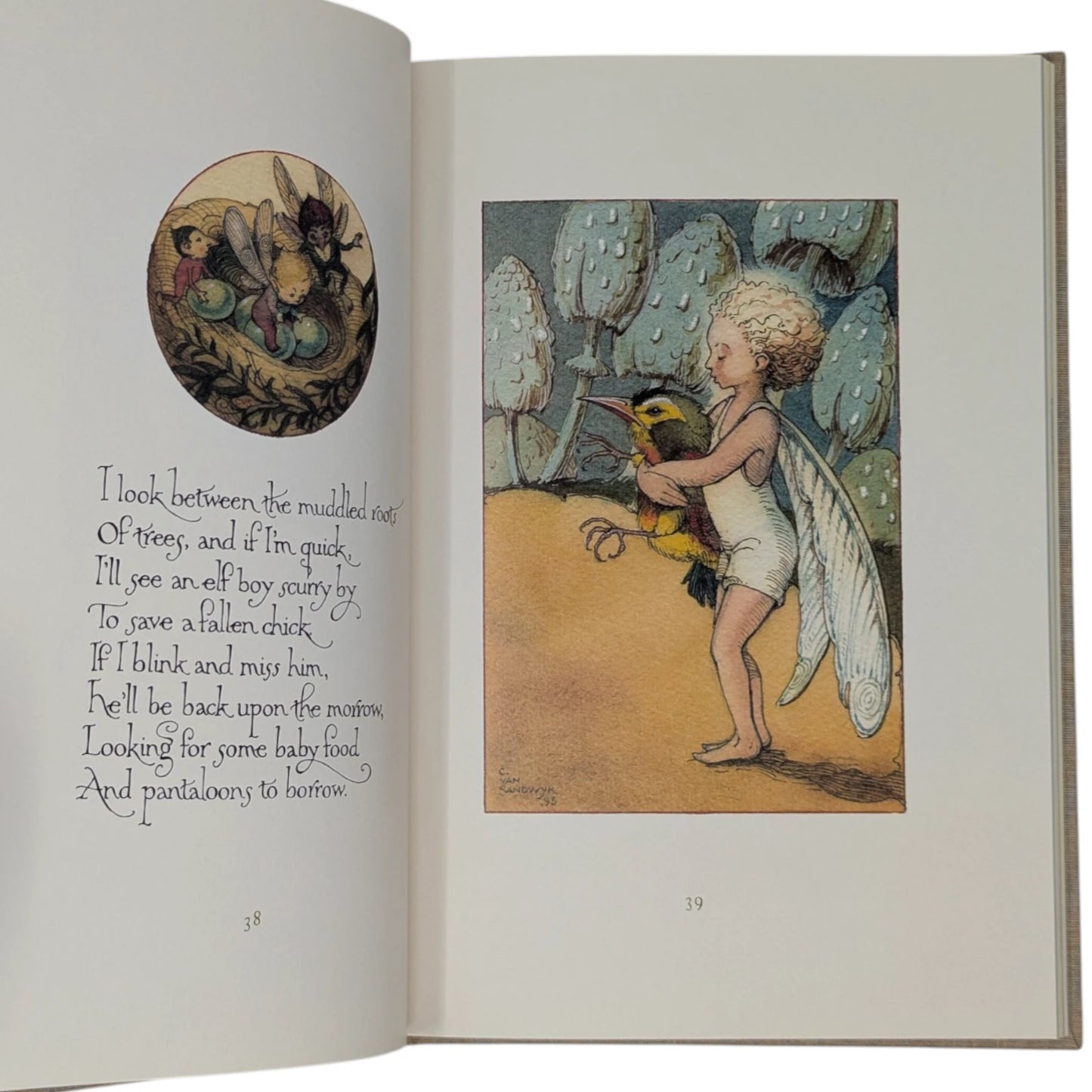 How to See Fairies and Other Tales (Signed)