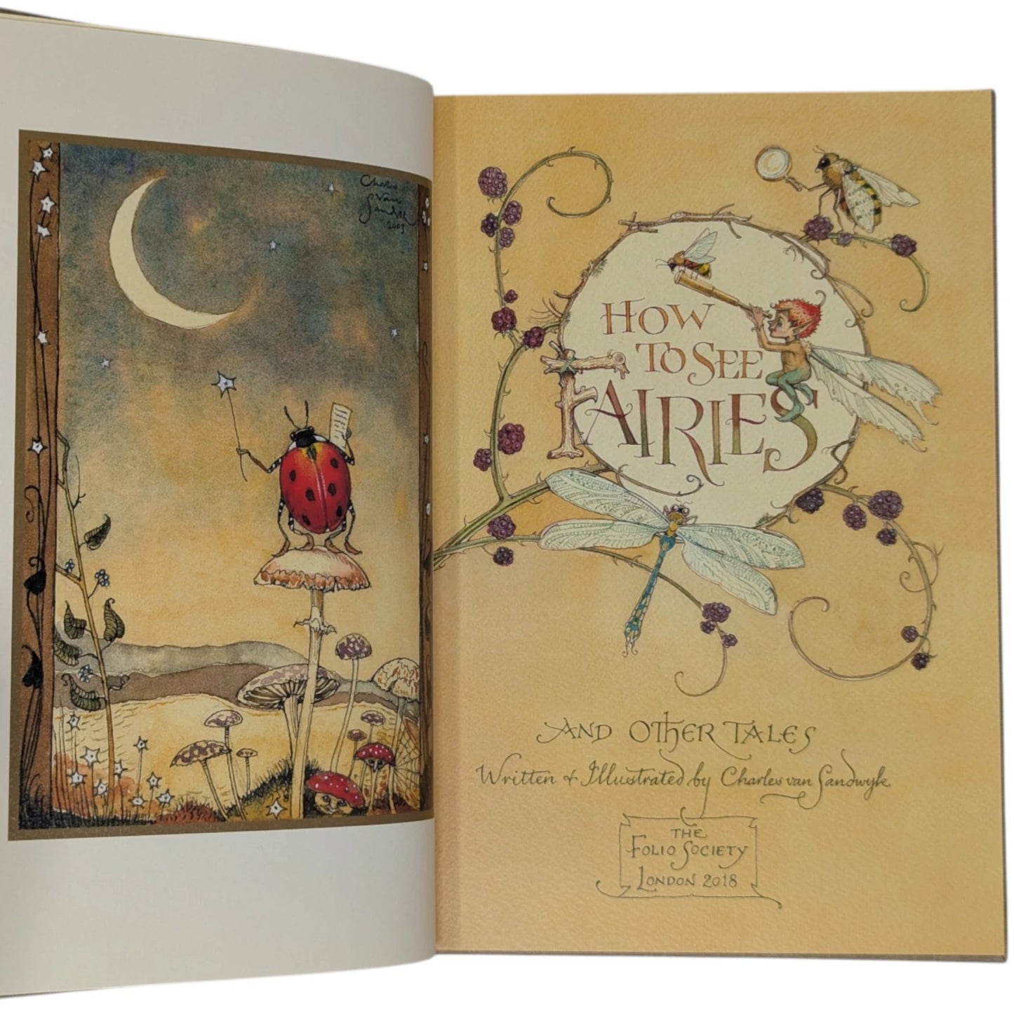 How to See Fairies and Other Tales (Signed)
