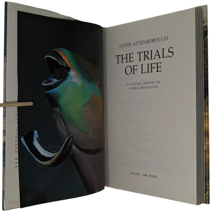The Trials of Life
