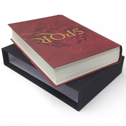 SPQR: A History of Ancient Rome