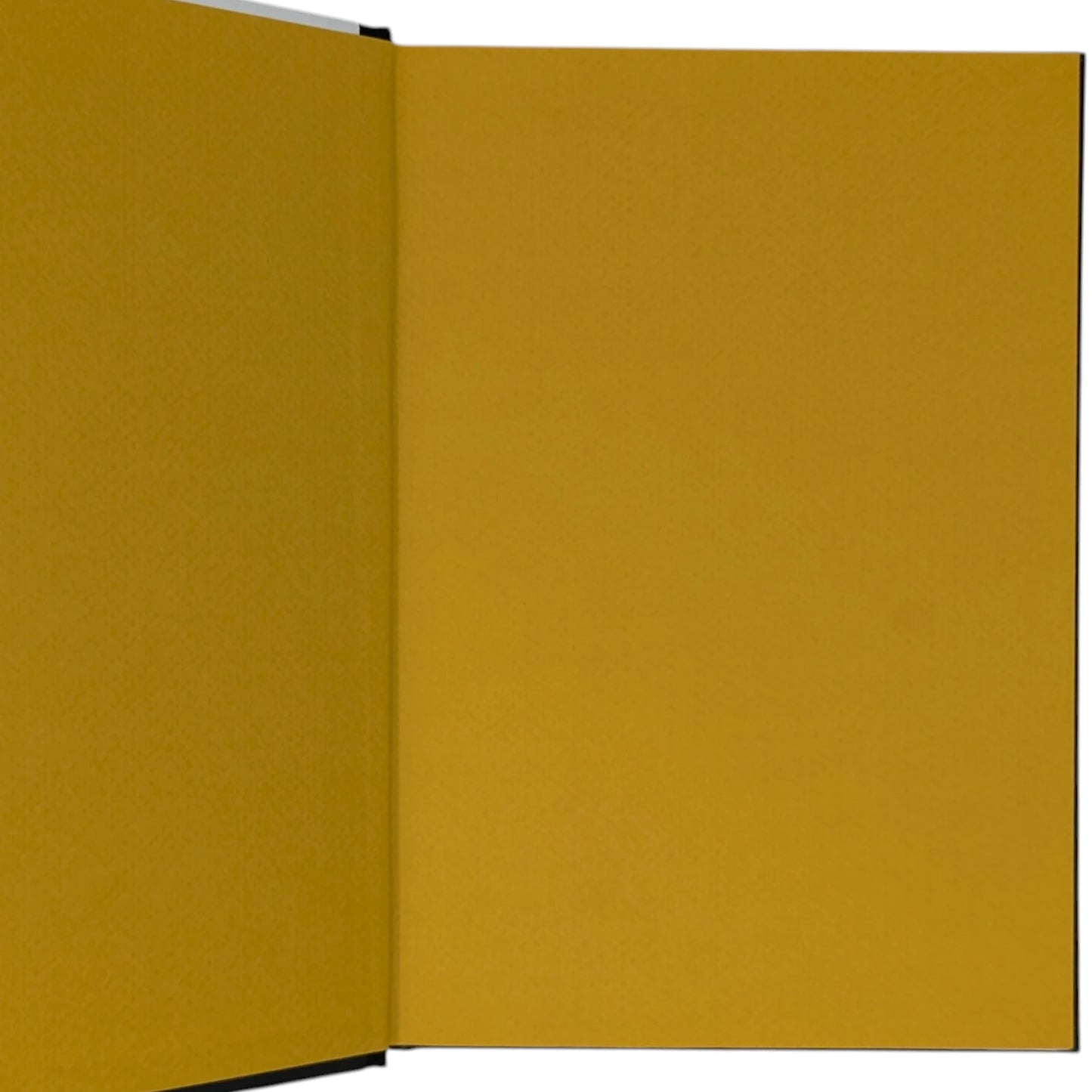 Shah of Shahs