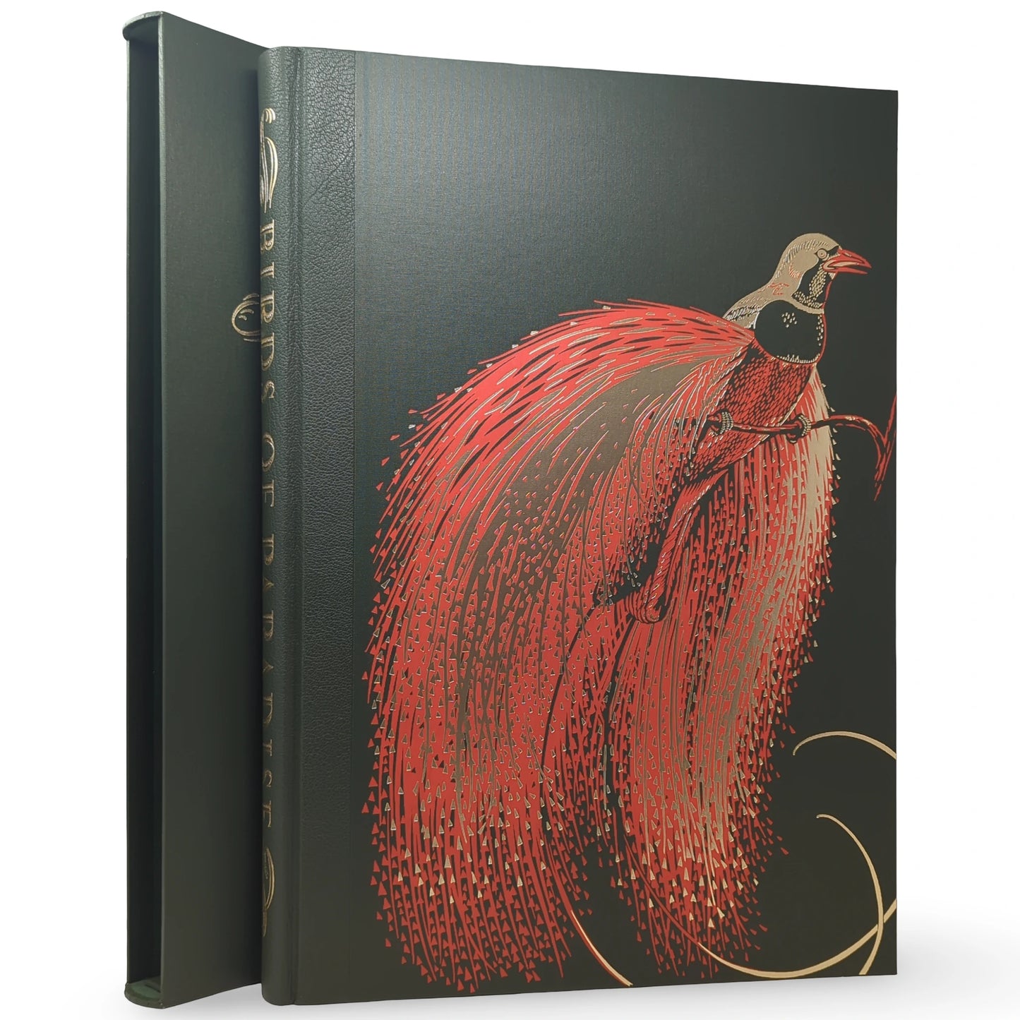 Sharpe’s Birds of Paradise