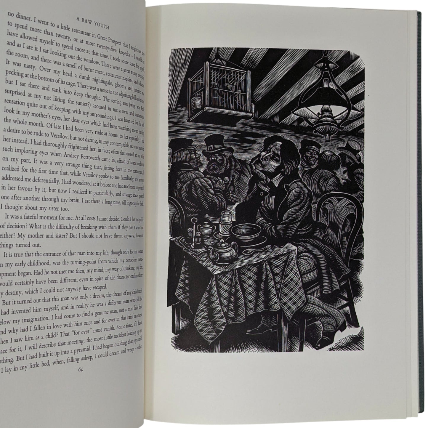 A Raw Youth (The Adolescent)