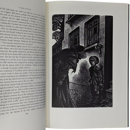 A Raw Youth (The Adolescent)