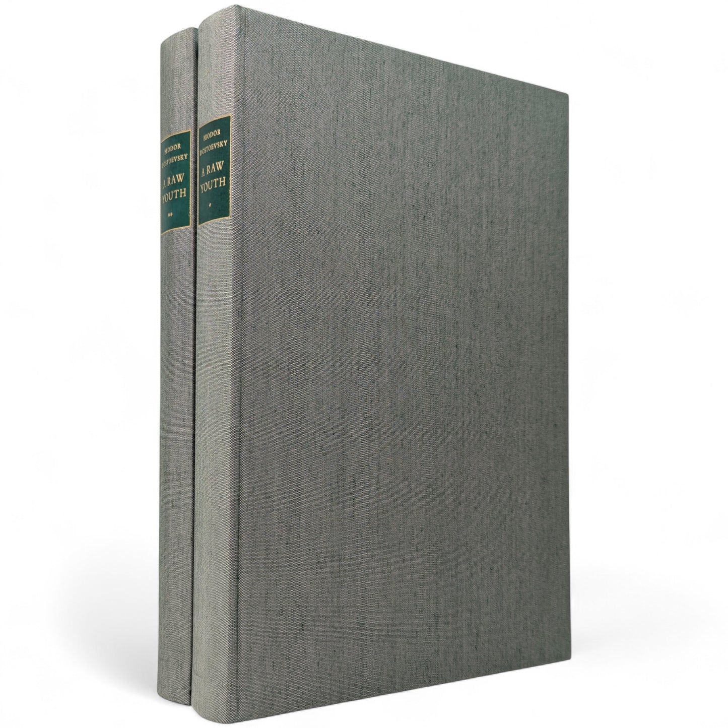 A Raw Youth (The Adolescent)