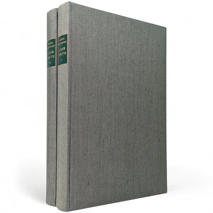 A Raw Youth (The Adolescent)