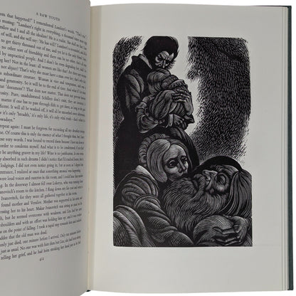 A Raw Youth (The Adolescent)