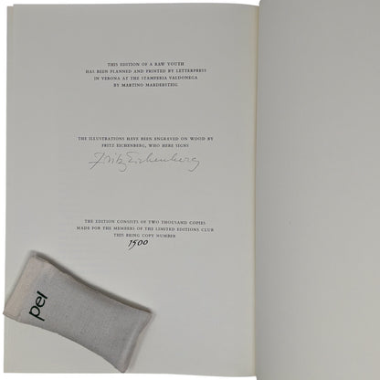 A Raw Youth (The Adolescent)