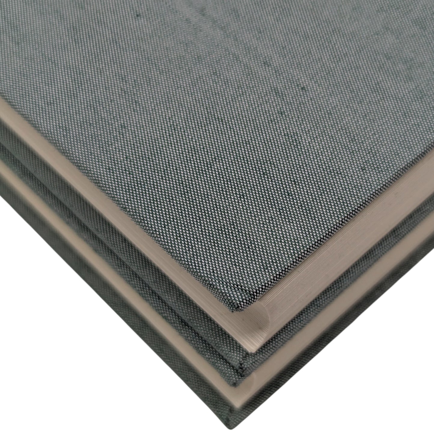 A Raw Youth (The Adolescent)