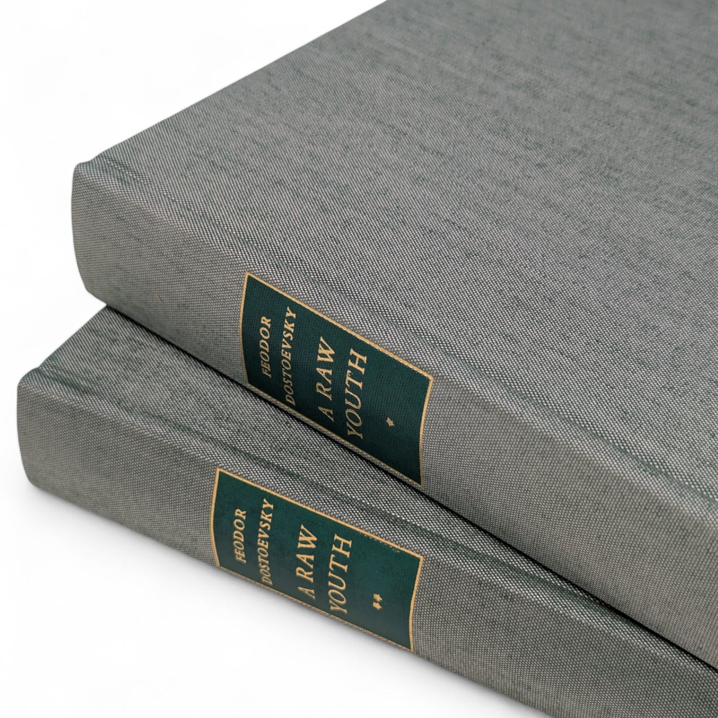 A Raw Youth (The Adolescent)