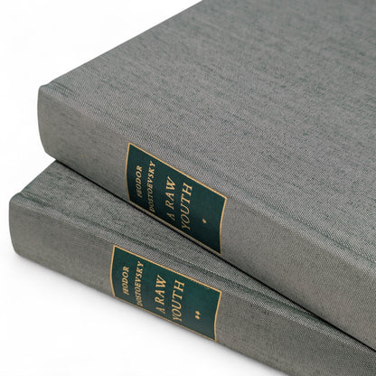 A Raw Youth (The Adolescent)