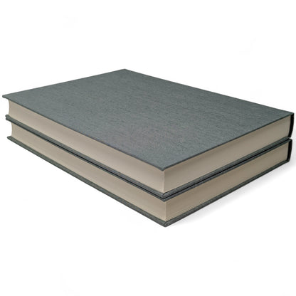 A Raw Youth (The Adolescent)