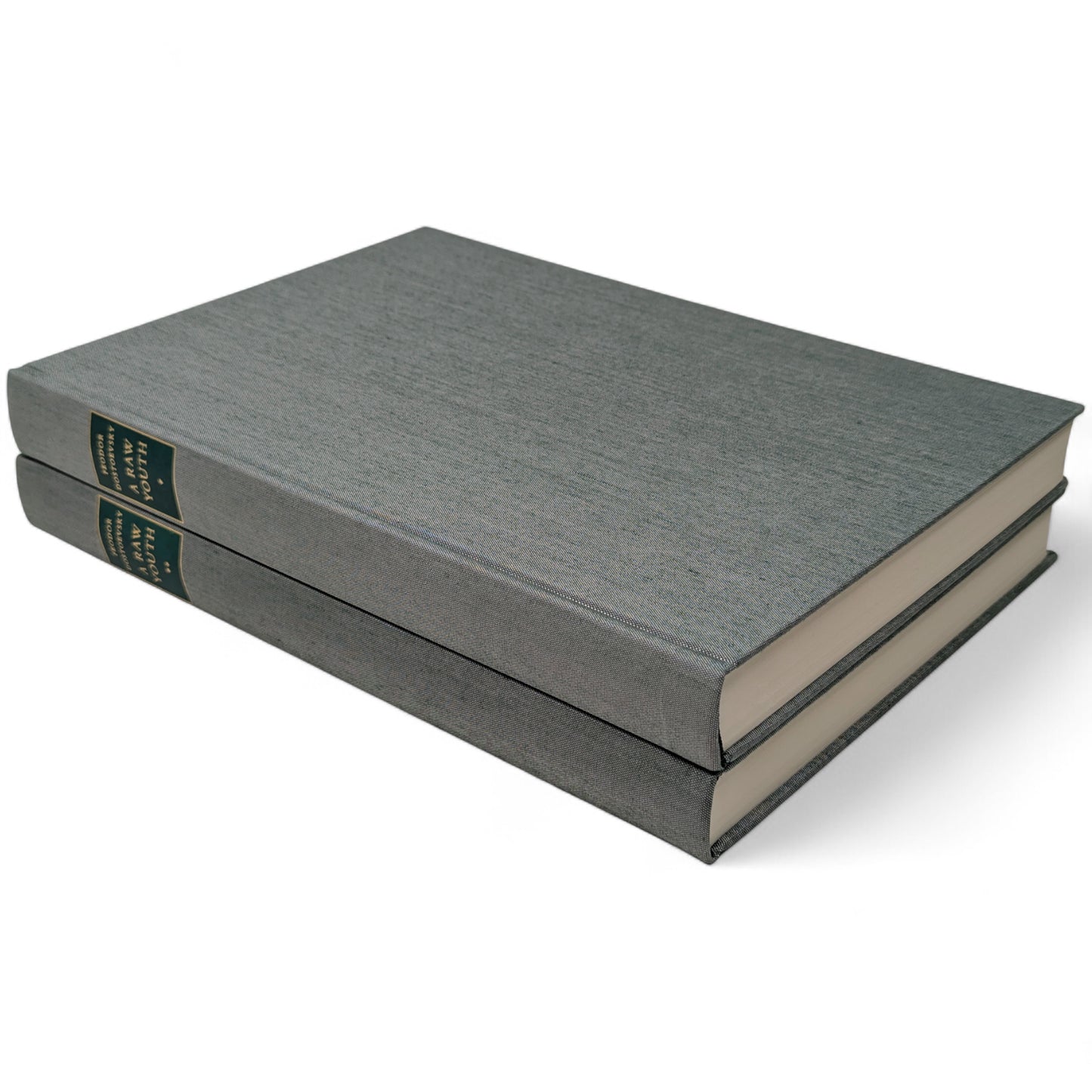 A Raw Youth (The Adolescent)