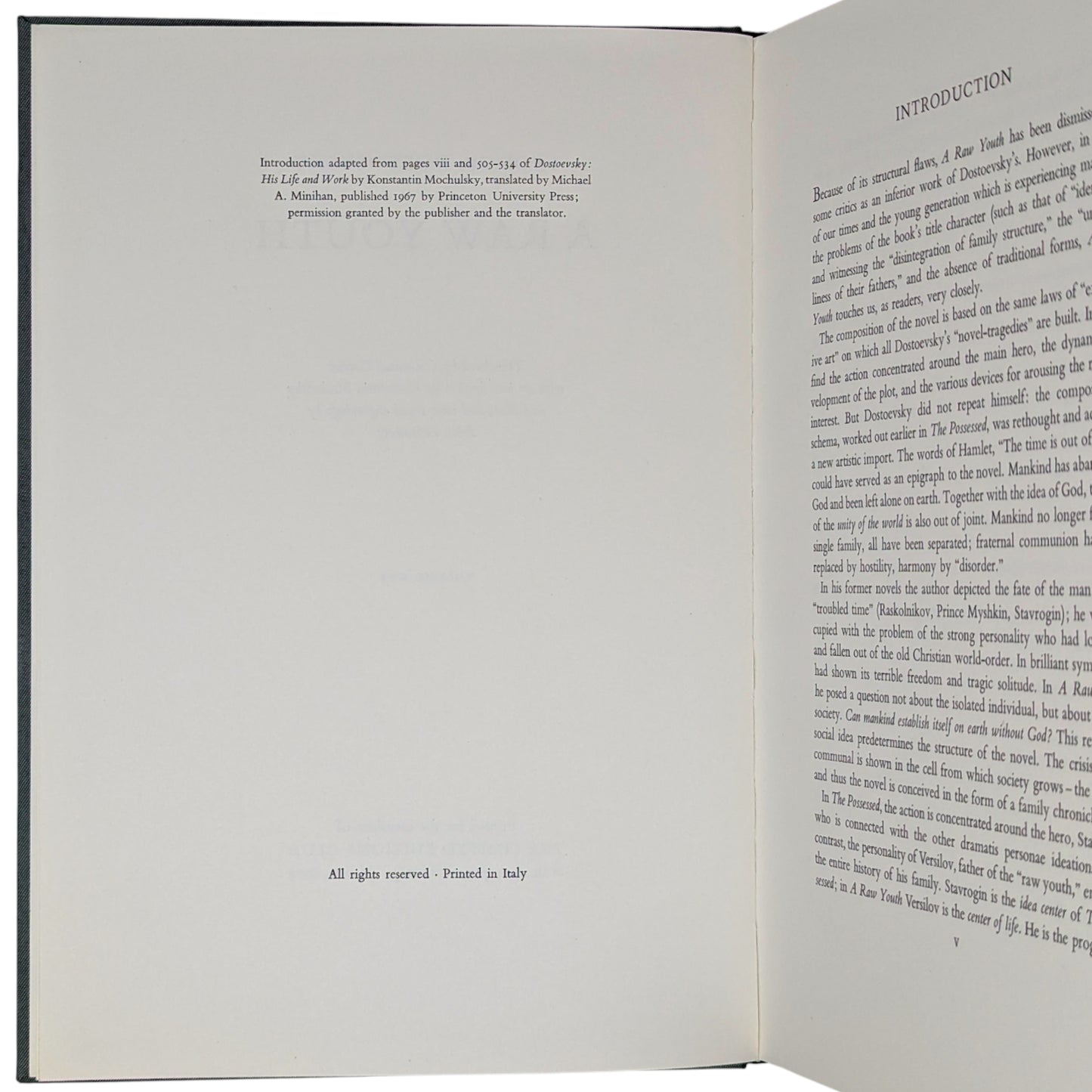 A Raw Youth (The Adolescent)