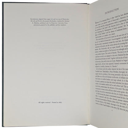 A Raw Youth (The Adolescent)