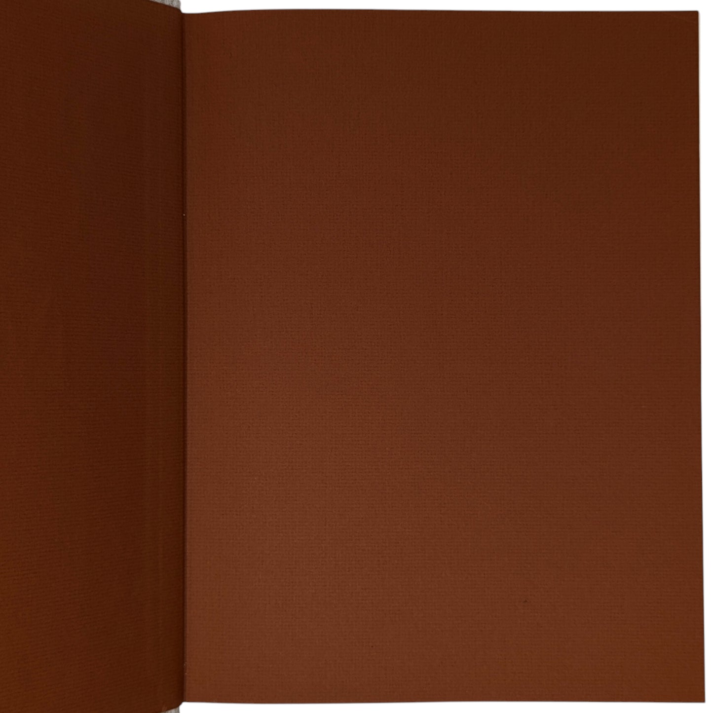 The Adventures of Simplicissimus