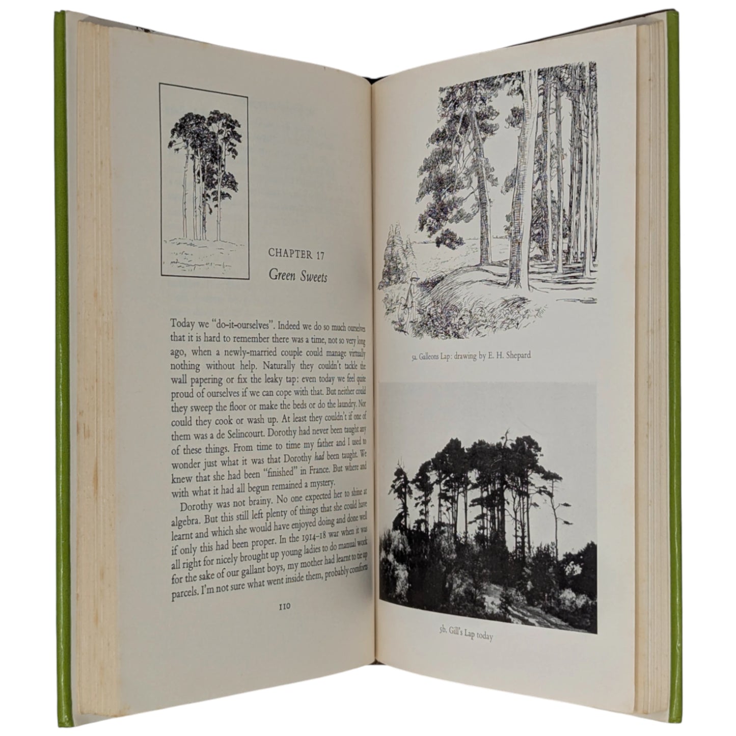 The Enchanted Places