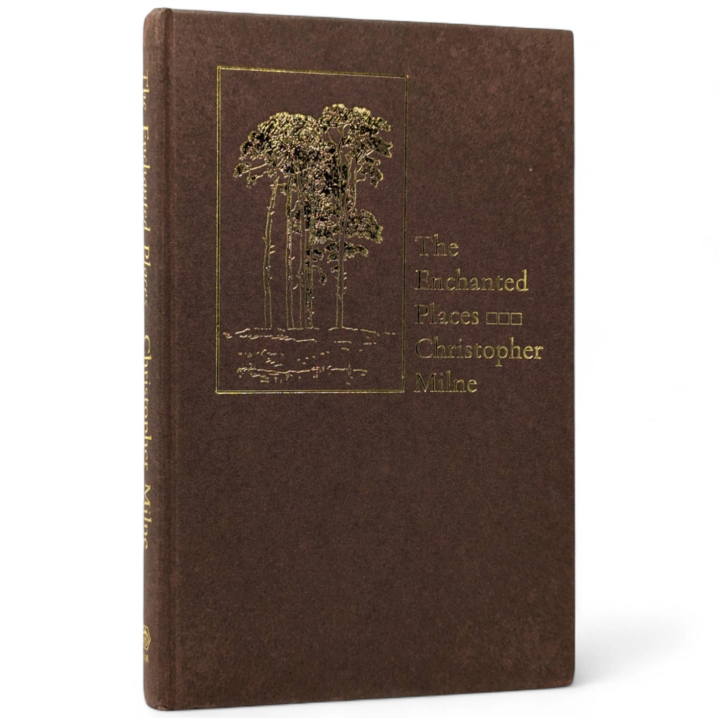 The Enchanted Places