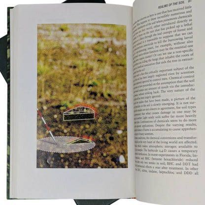 Silent Spring
