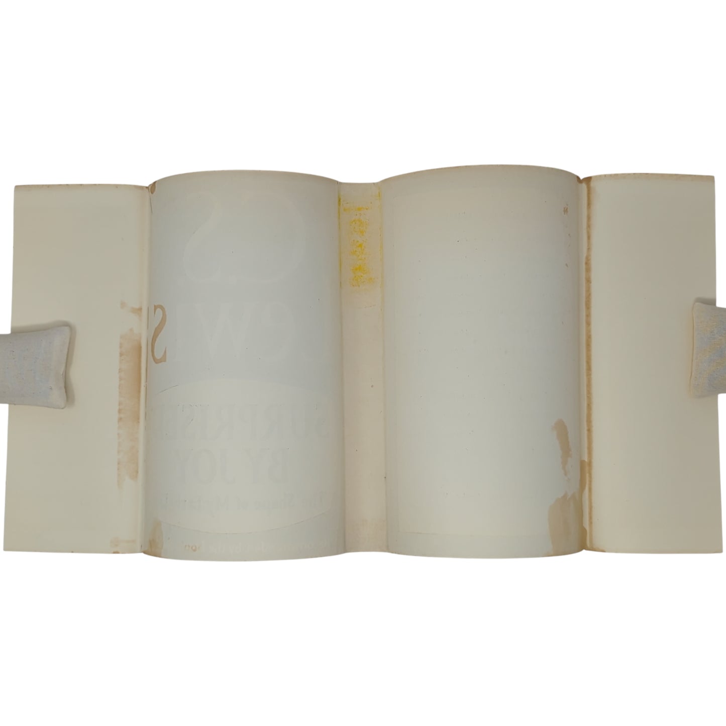 Surprised by Joy: The Shape of My Early Life