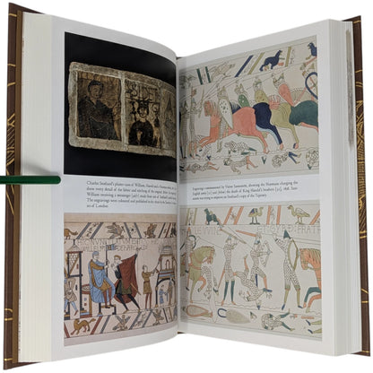 The Bayeux Tapestry: The Life Story of a Masterpiece