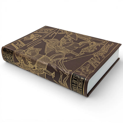 The Bayeux Tapestry: The Life Story of a Masterpiece