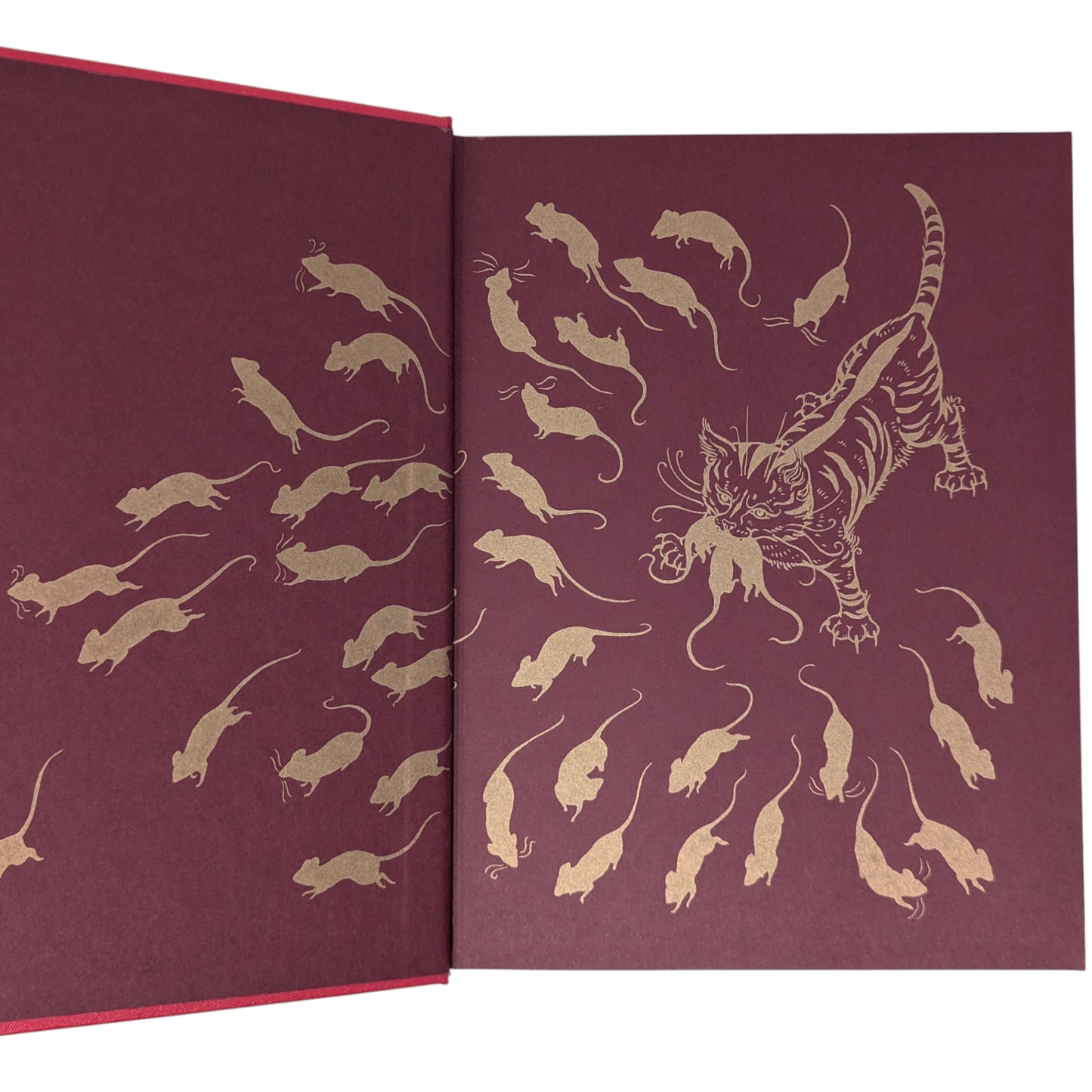 The Crimson Fairy Book