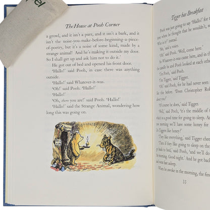 The House at Pooh Corner