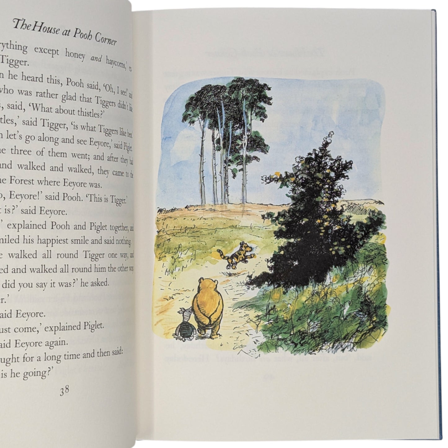The House at Pooh Corner