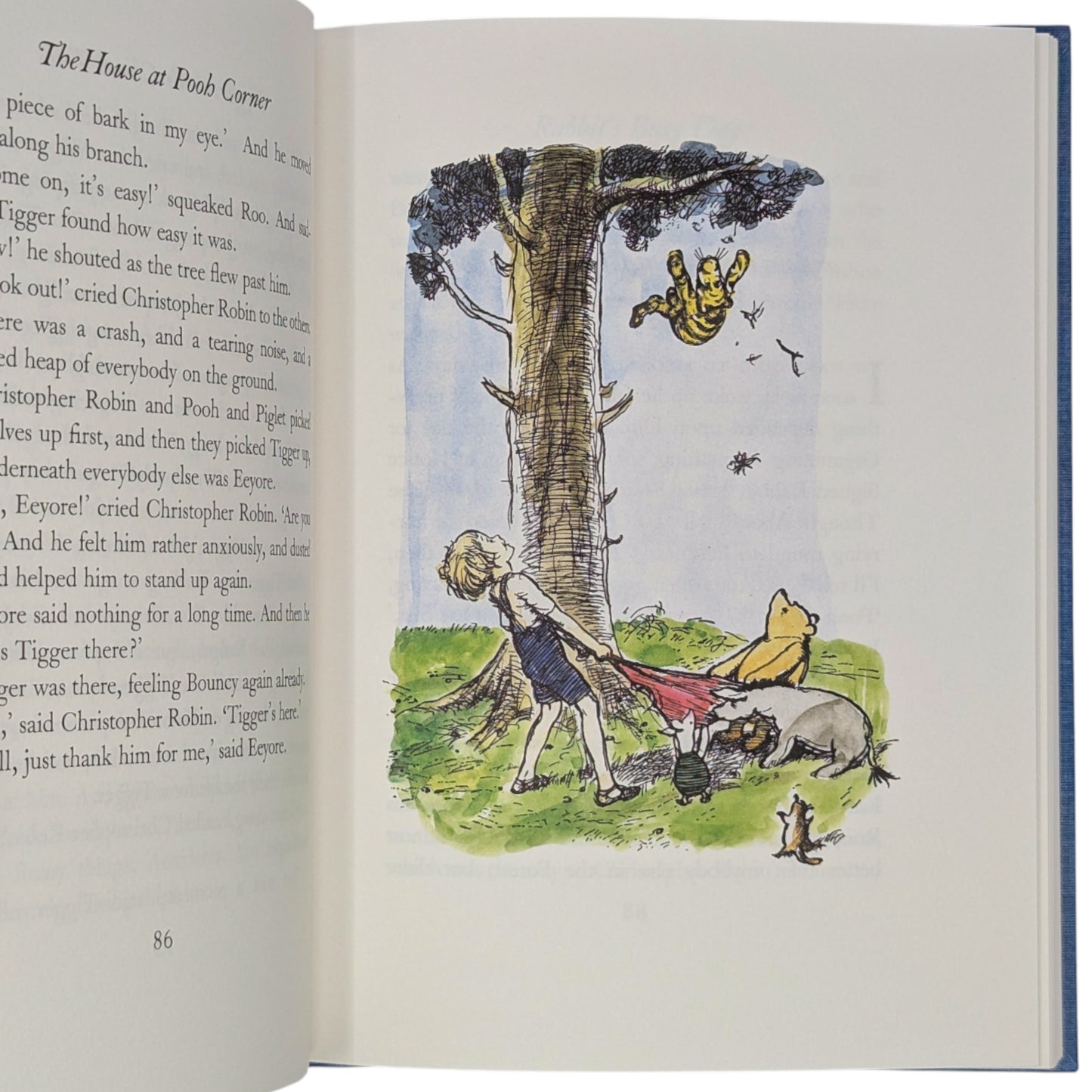 The House at Pooh Corner