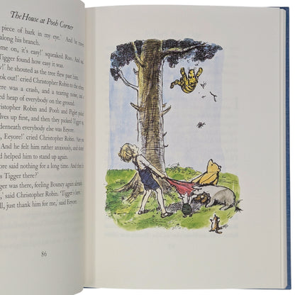 The House at Pooh Corner