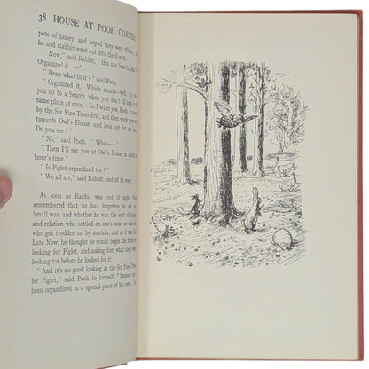 The House at Pooh Corner