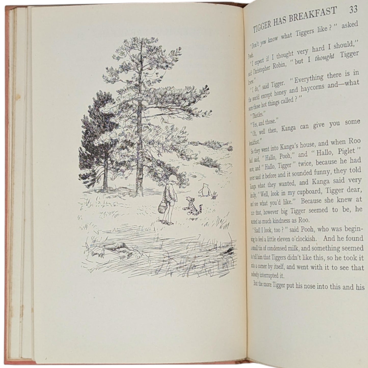 The House at Pooh Corner