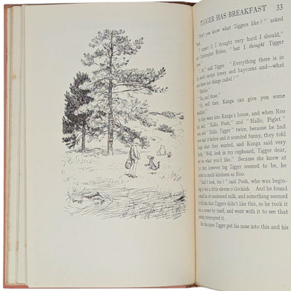 The House at Pooh Corner