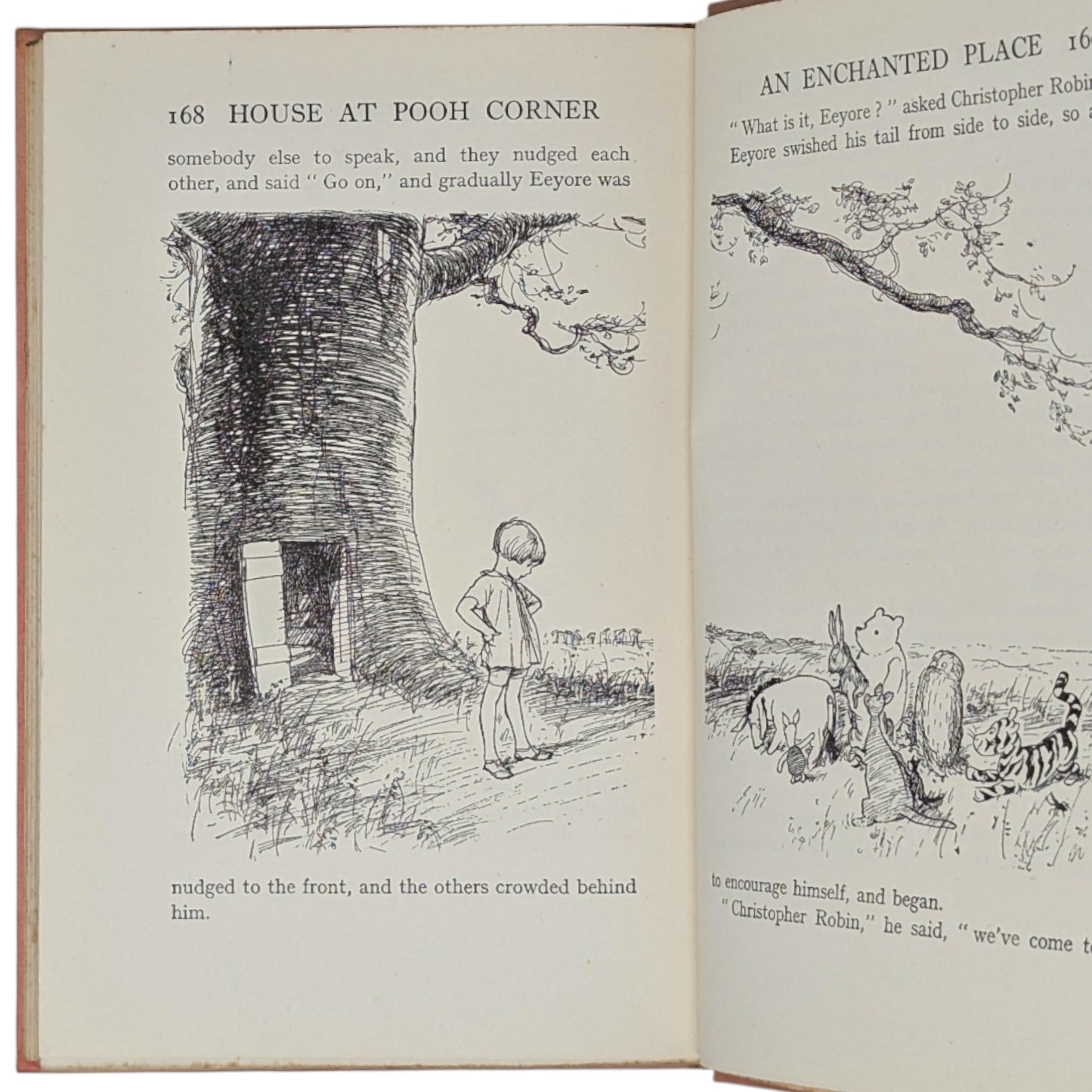 The House at Pooh Corner