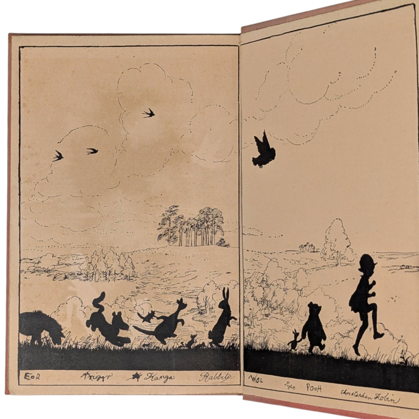 The House at Pooh Corner