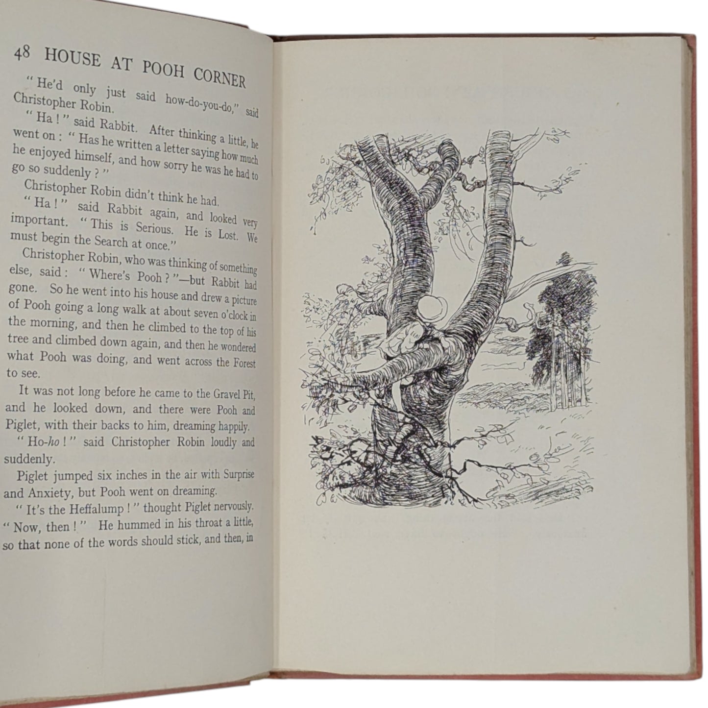 The House at Pooh Corner