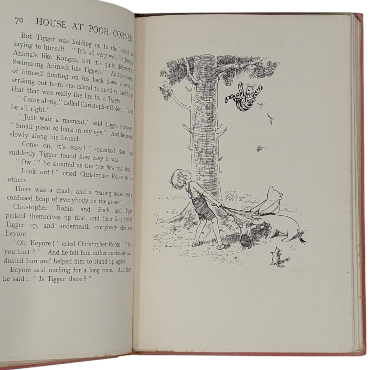 The House at Pooh Corner