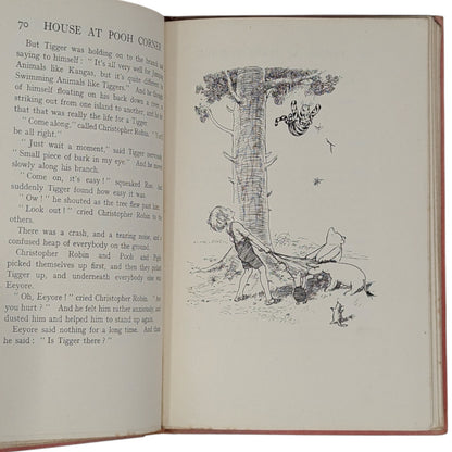 The House at Pooh Corner