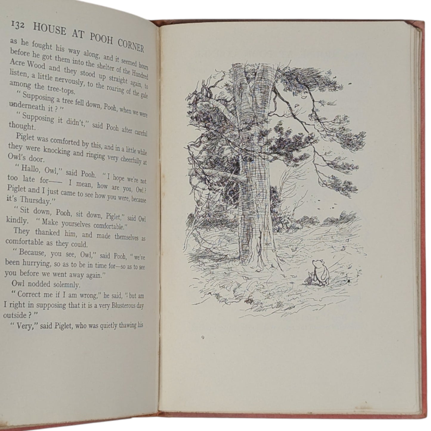 The House at Pooh Corner