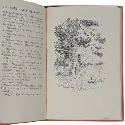 The House at Pooh Corner