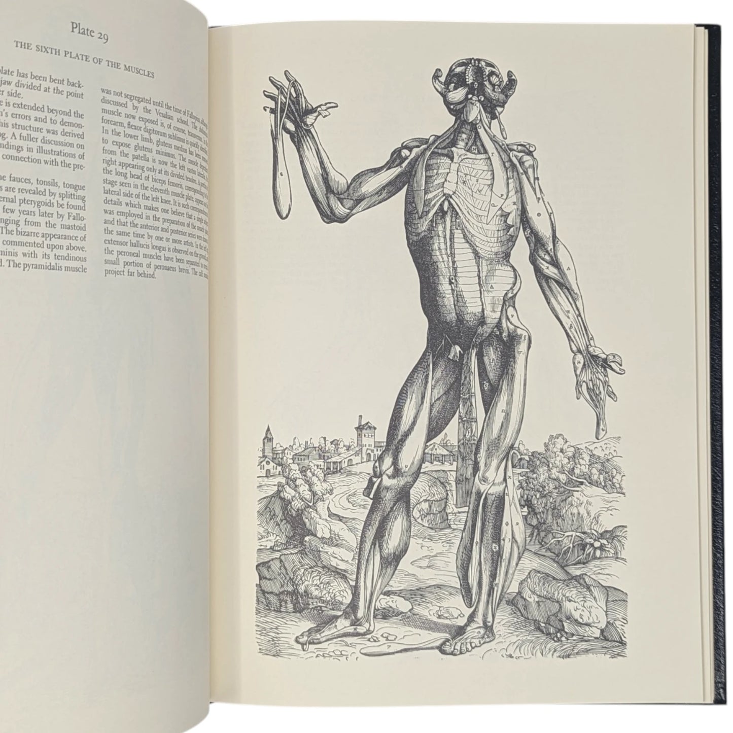 The Illustrations from Works of Andreas Vesalius of Brussels